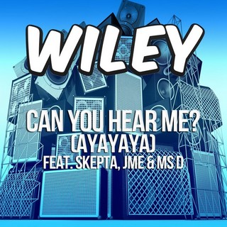 Can You Hear Me (Ayayaya) (WILEY Ft. SKEPTA & MS D) - Backing Track