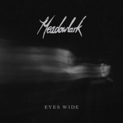 Eyes Wide (MEADOWLARK) - Backing Track