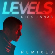 Levels (NICK JONAS) - Backing Track