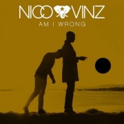 Am I Wrong  (NICO & VINZ) - Backing Track